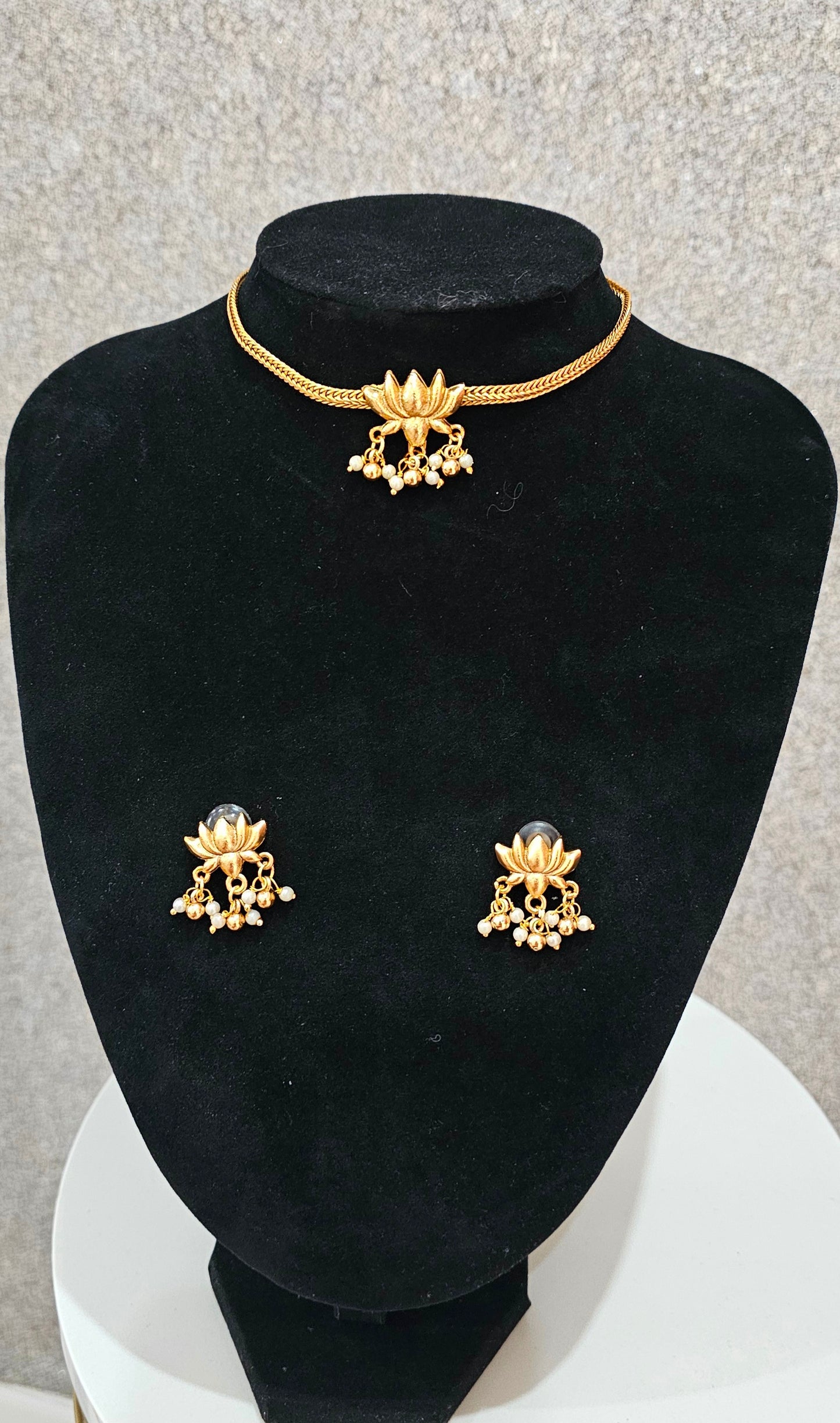 Beautiful choker/necklace