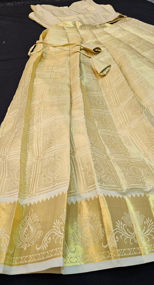 Banarasi top and skirt
