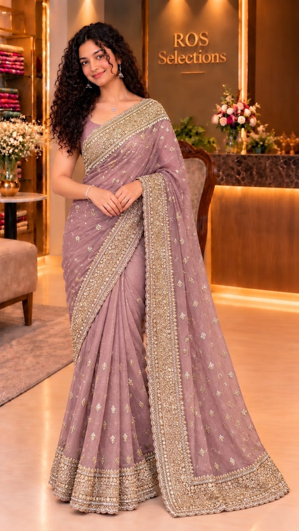 Indian party wear saree