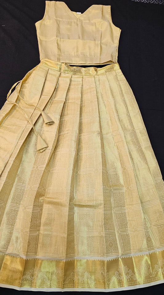 Banarasi top and skirt