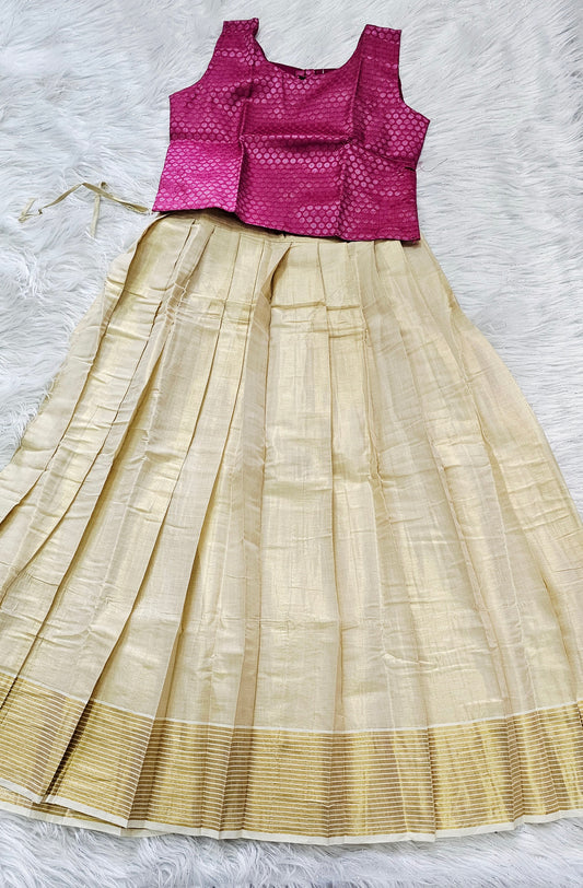 Beautiful Brocade crop top and  Tissue skirt