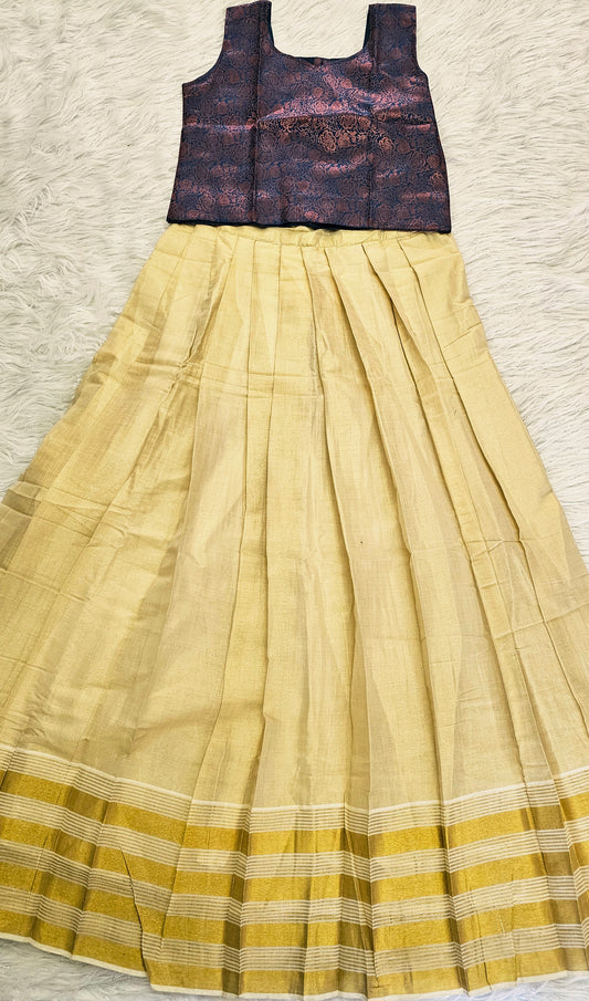 Beautiful Brocade top and premium tissue skirt^