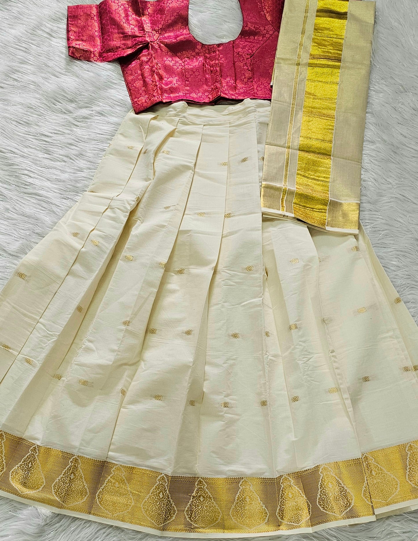 Beautiful Dhavani with brocade blouse