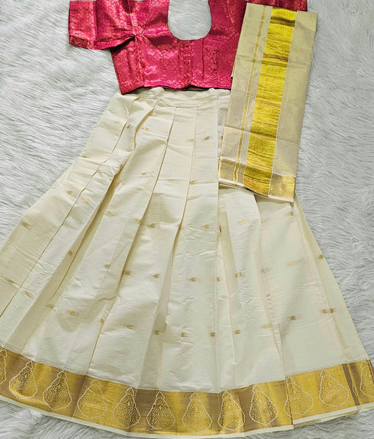 Beautiful Dhavani with brocade blouse
