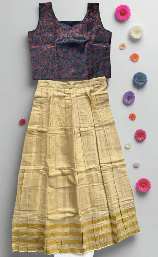 Blue and Purple Dhavani set