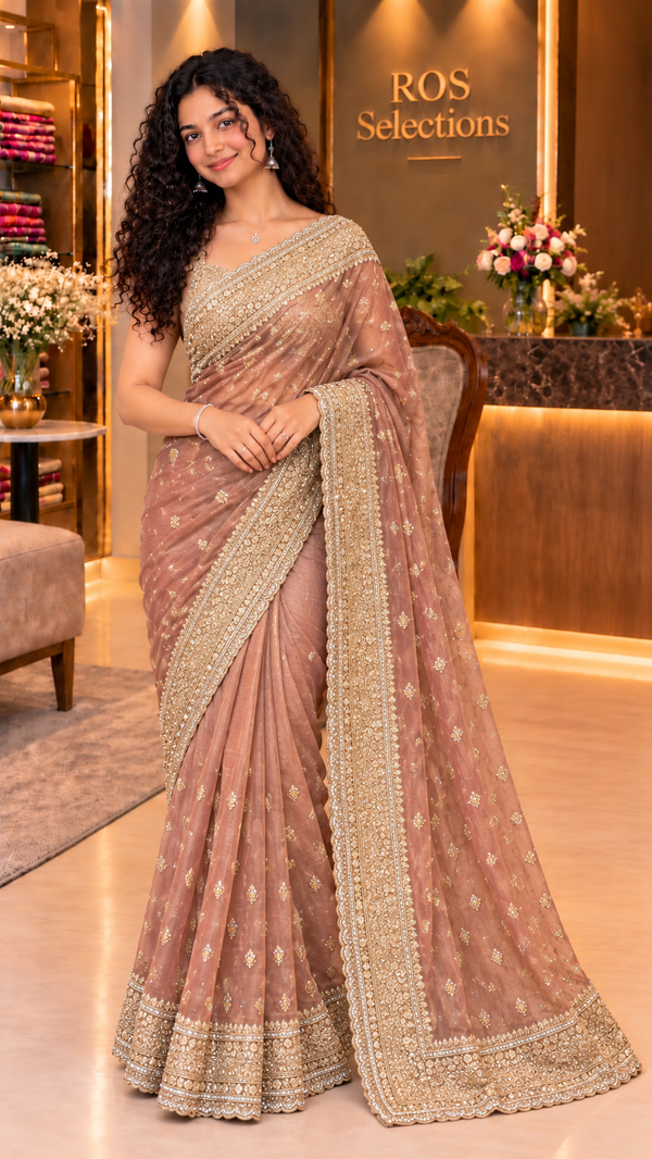 Indian party wear saree